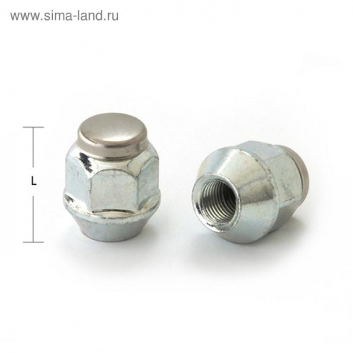 Гайка M12*1,25 (21/, hex 19 CH) открытая